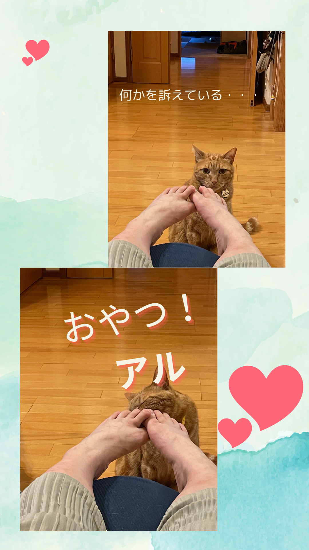 白オレンジ　シンプル　かわいい　ホワイトデー　スマホの壁紙 (4).png