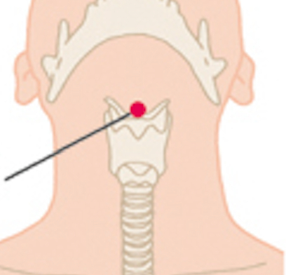 スクリーンショット 2023-12-16 19.15.35.png