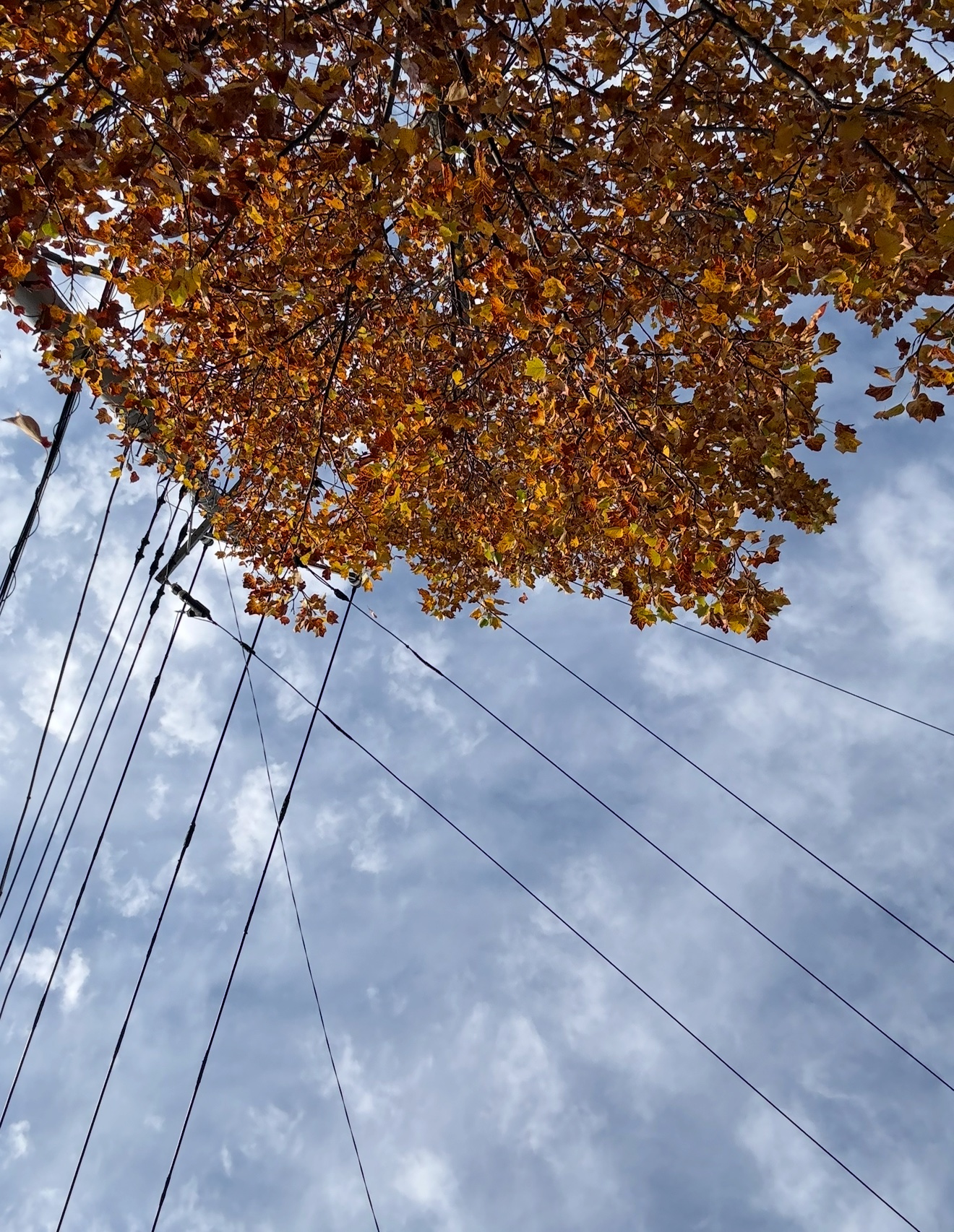 最新の写真を表示 20.png