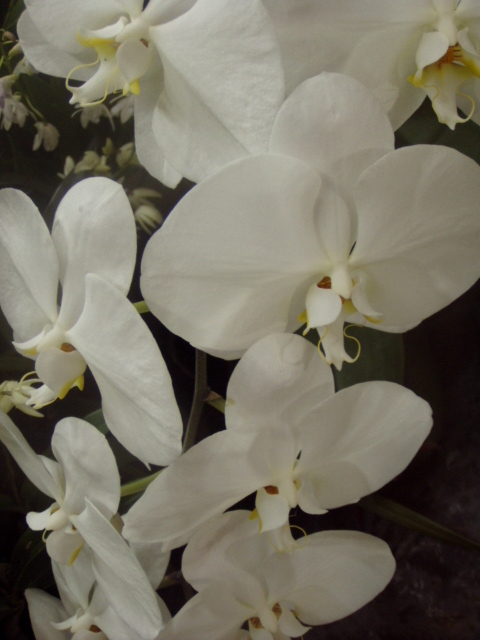 P1010077.JPG