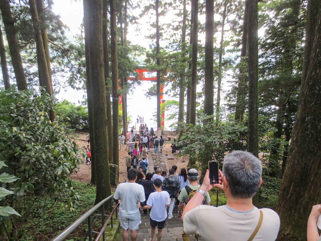 箱根神社_平和の鳥居01.jpg