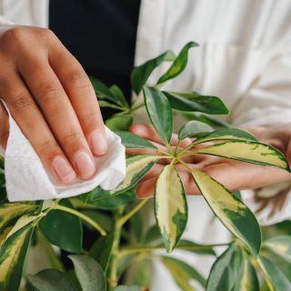 ふたりで育むパートナーシップ (10).png