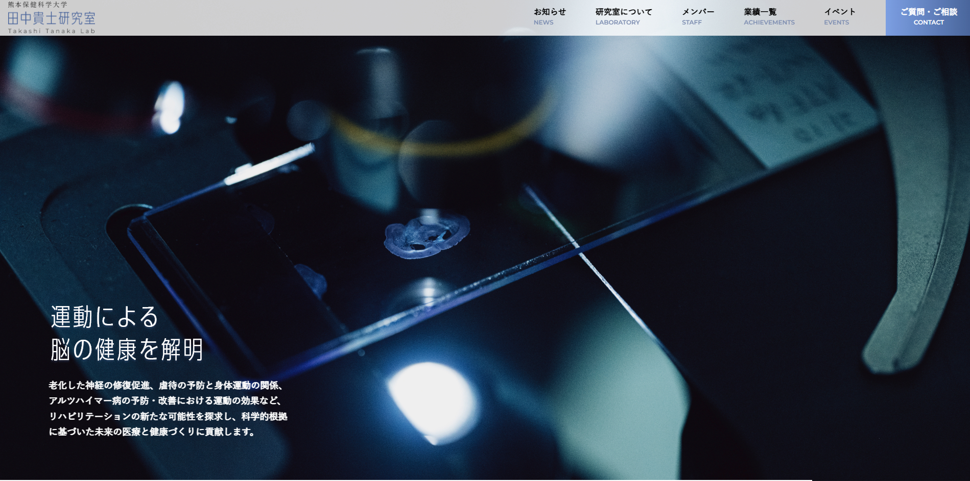 Adobe Photoshop 2021 2025_02_19 15_31_49.png