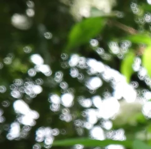 MOV_0008 - コピー_Moment(13).jpg