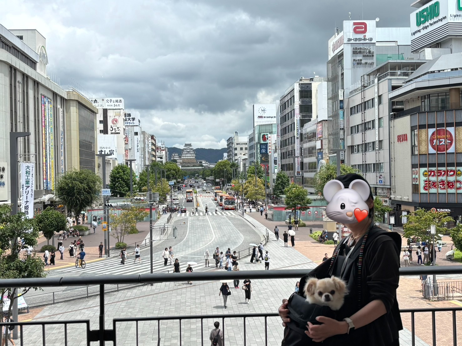 IMG_3139.jpeg