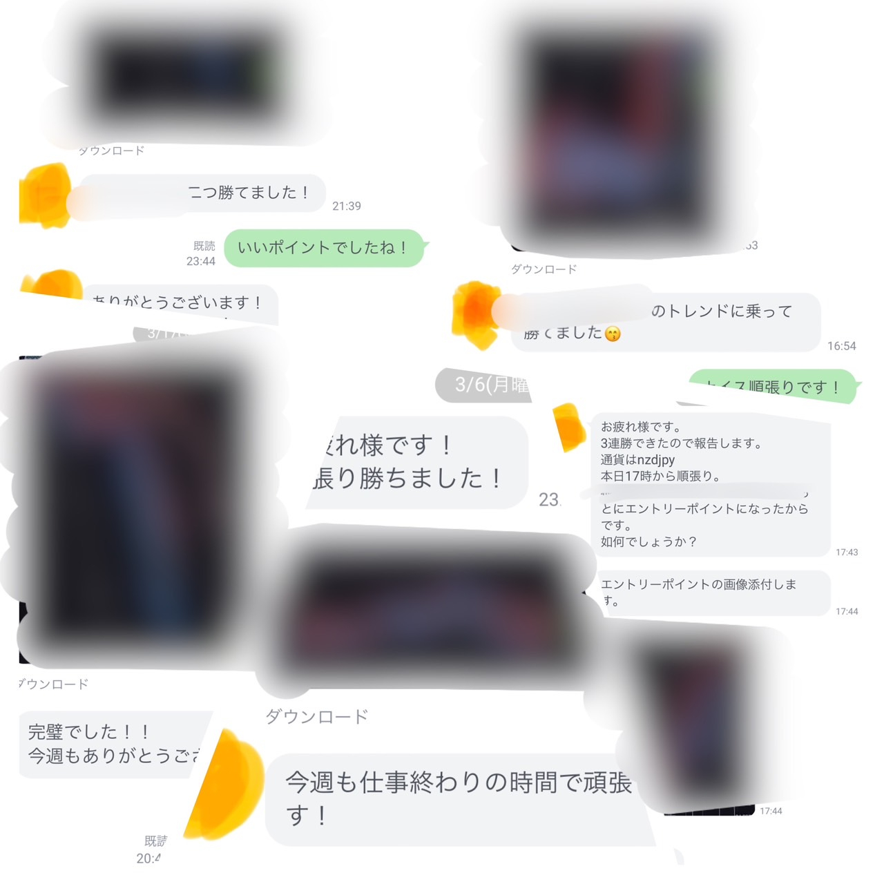 S__126033933.jpg