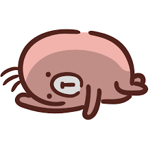 images (1).png