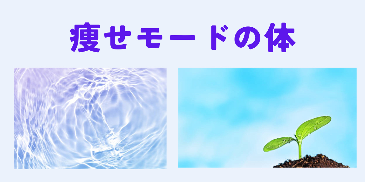 飢餓モードの体-2.png