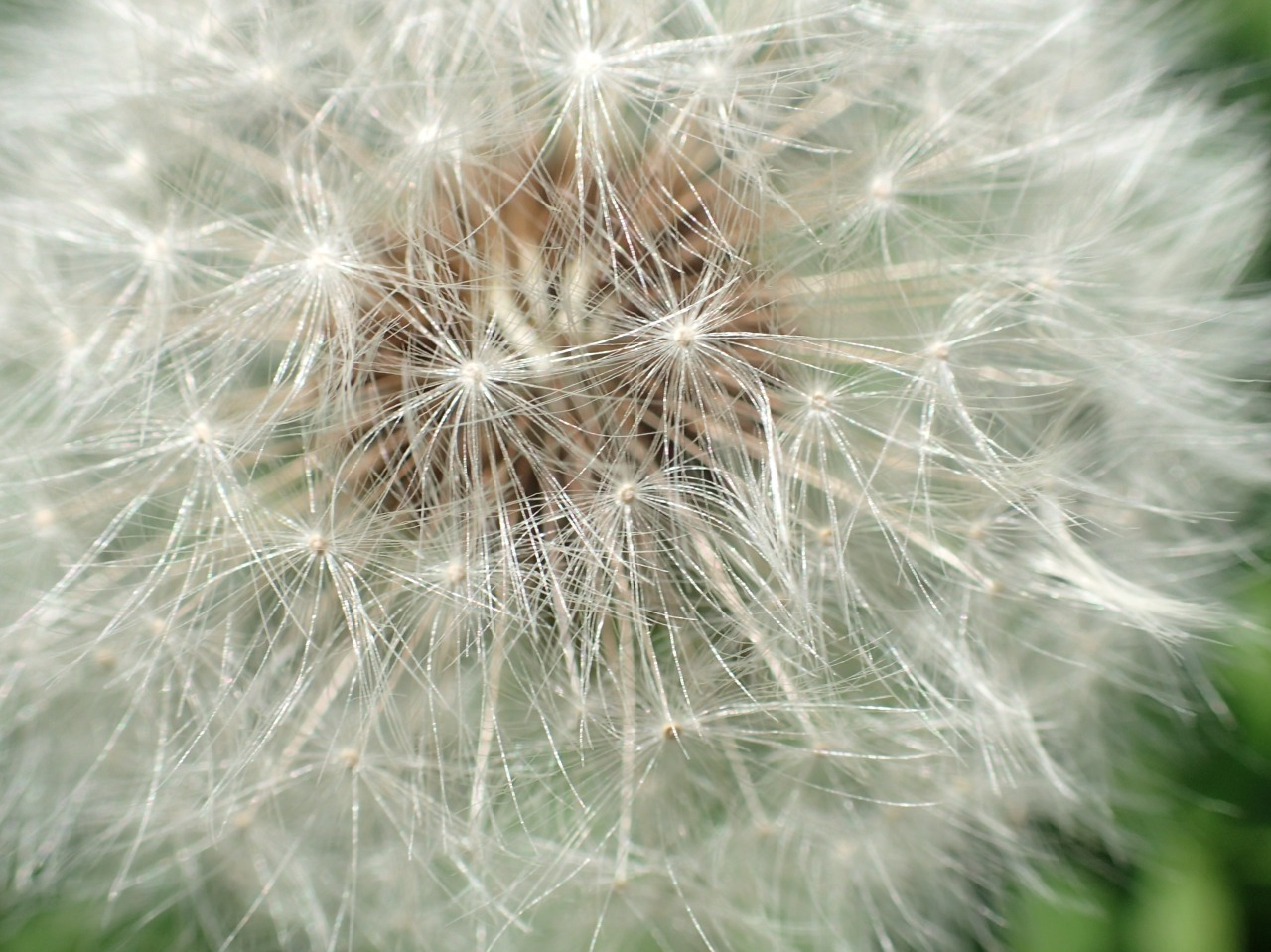 P4160276.JPG