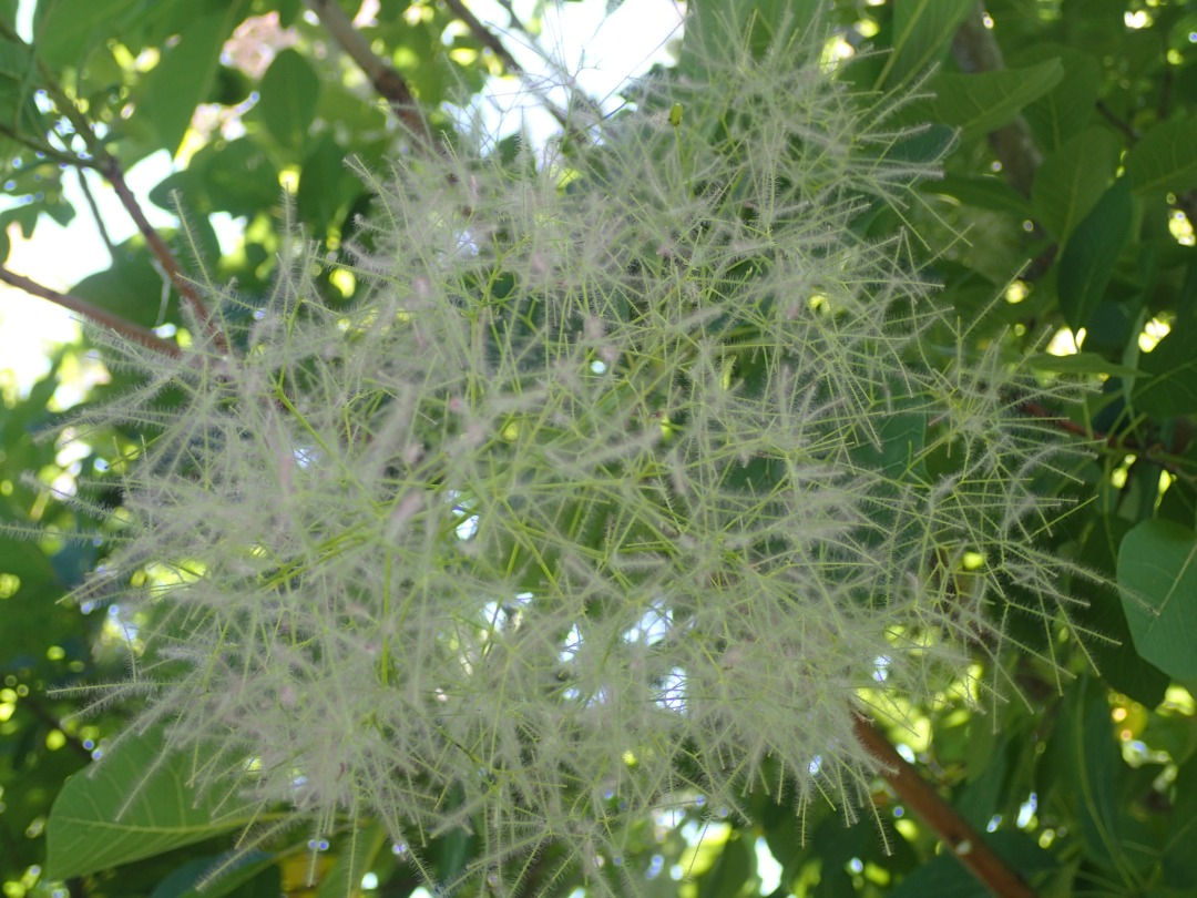 P5310055.JPG