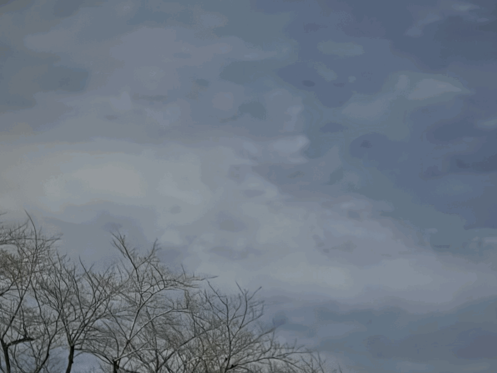 tempImage6RUkXP.gif