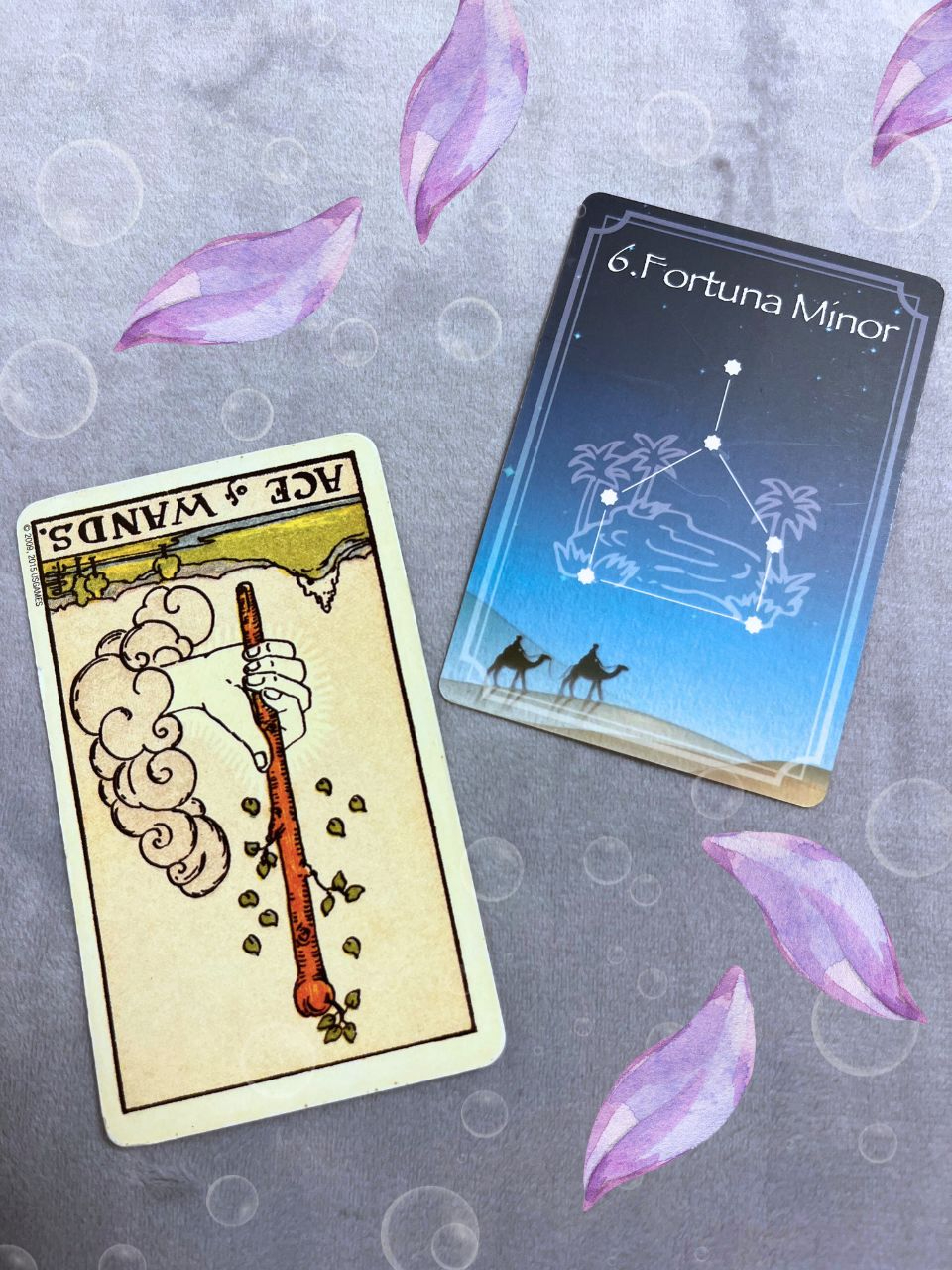 エックス　2枚 (55).jpg