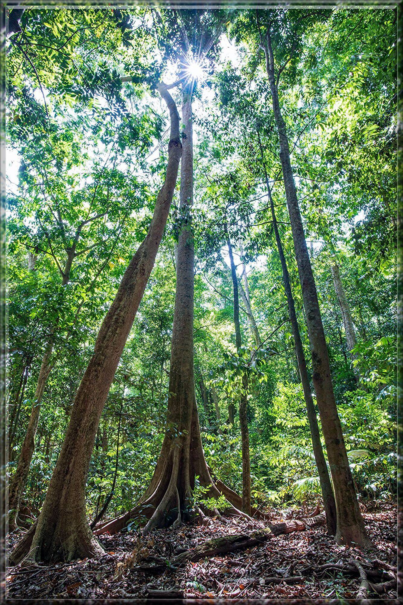 david-clode-Fcz2kG78-Ok-unsplash.jpg