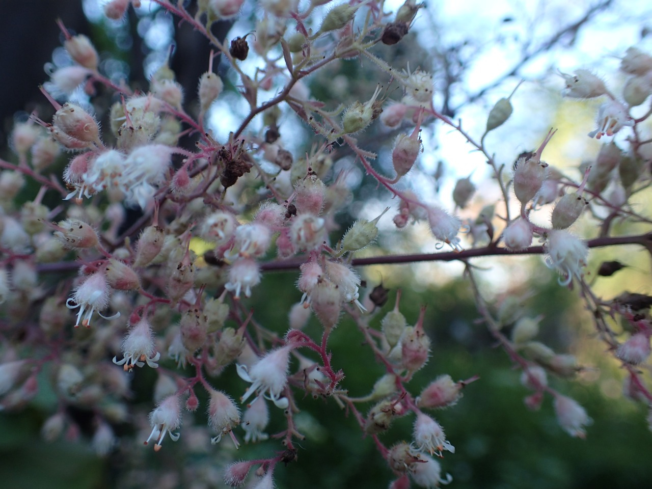 PB010924.JPG