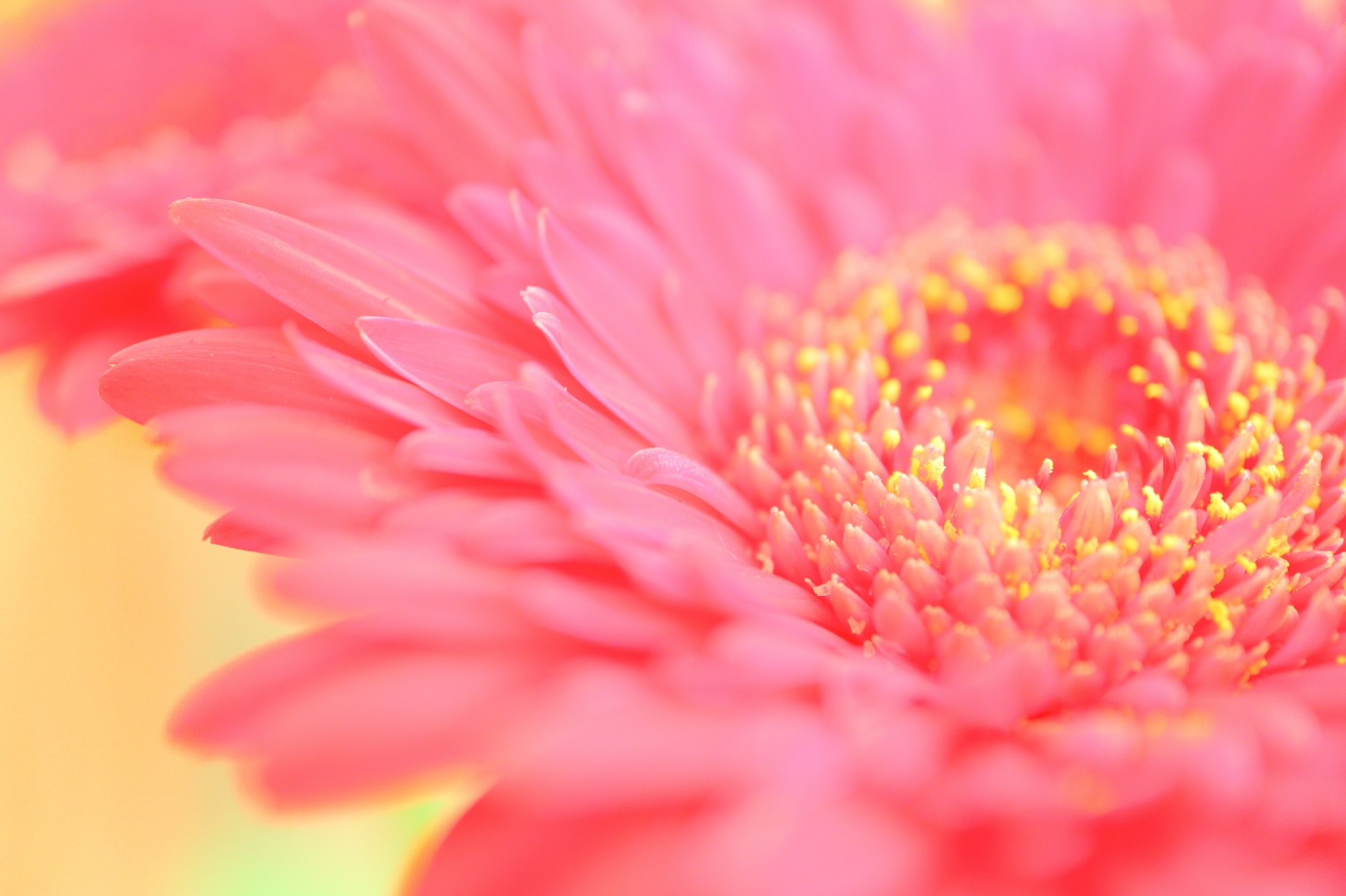 41937825-92C5-4AB7-B4C3-23D5433D6C59.jpeg