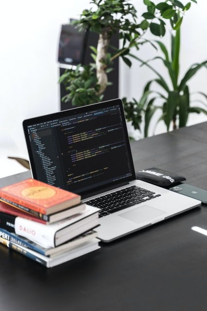 altumcode-PNbDkQ2DDgM-unsplash (1).jpg