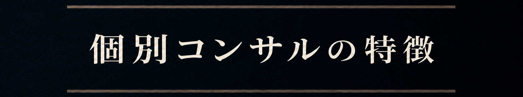個別コンサルの特徴.png