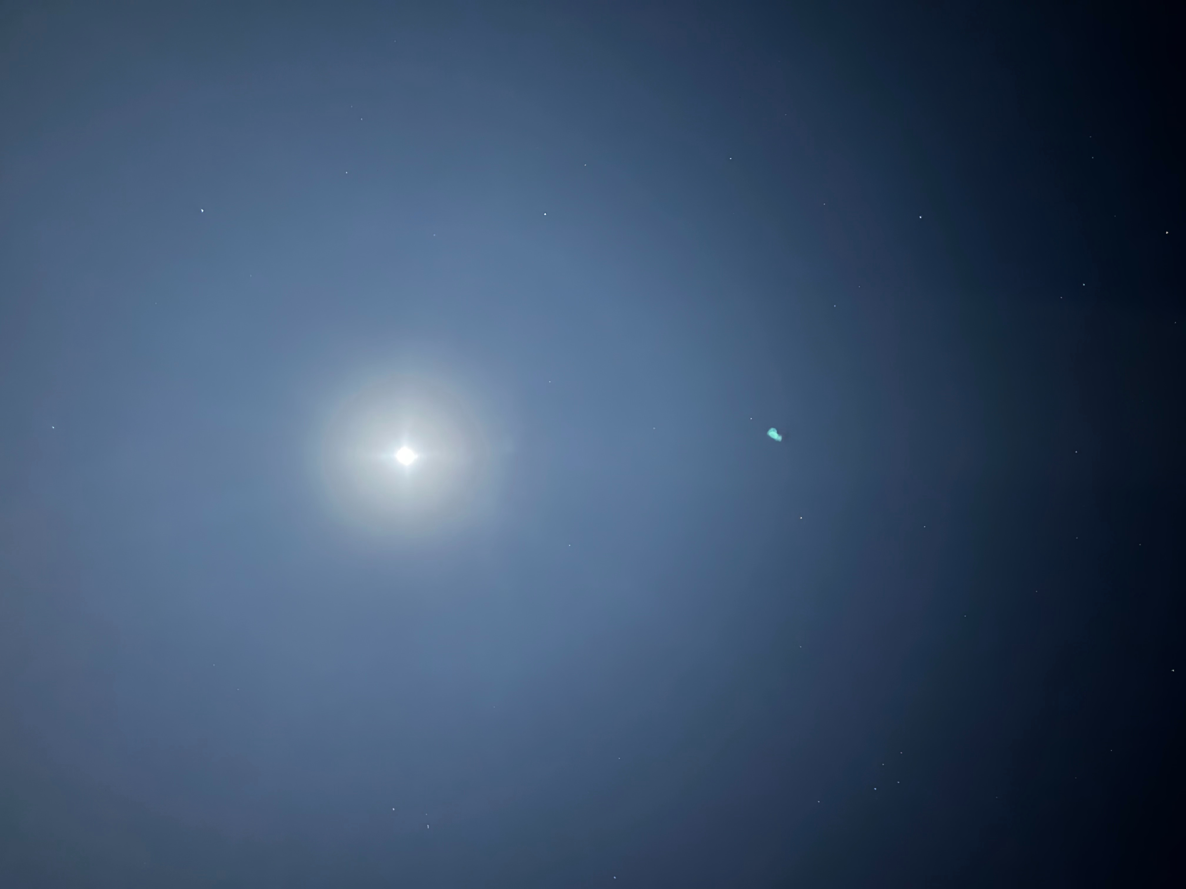 IMG_2272.jpeg