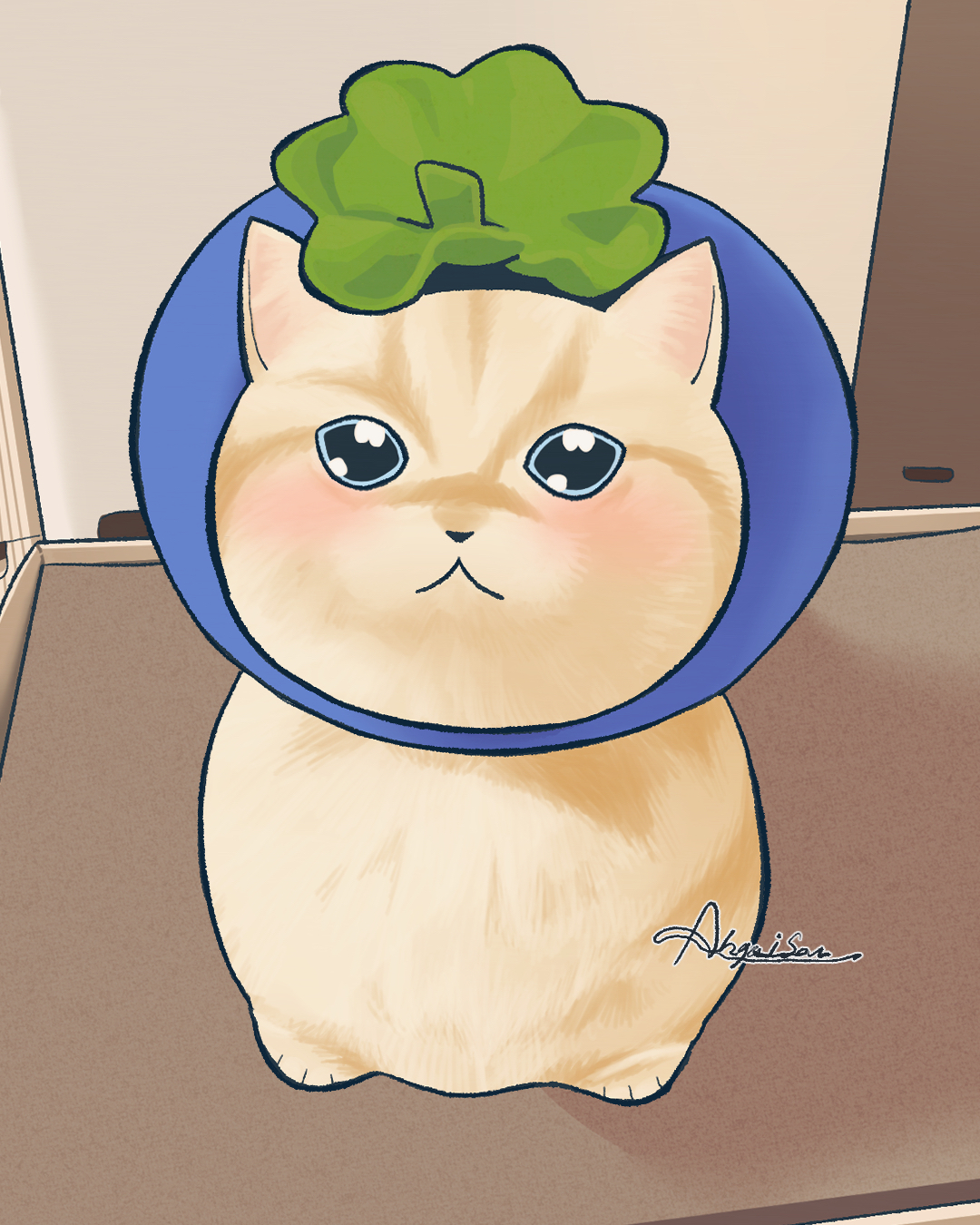 猫3.jpg