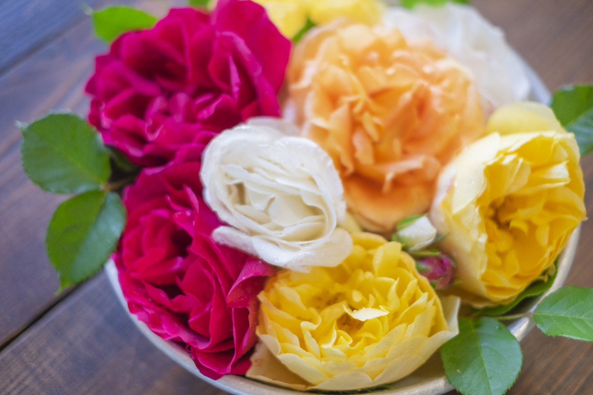 D7A29A14-2E79-4C1C-84EC-9D6D3ACF0FF9.jpeg