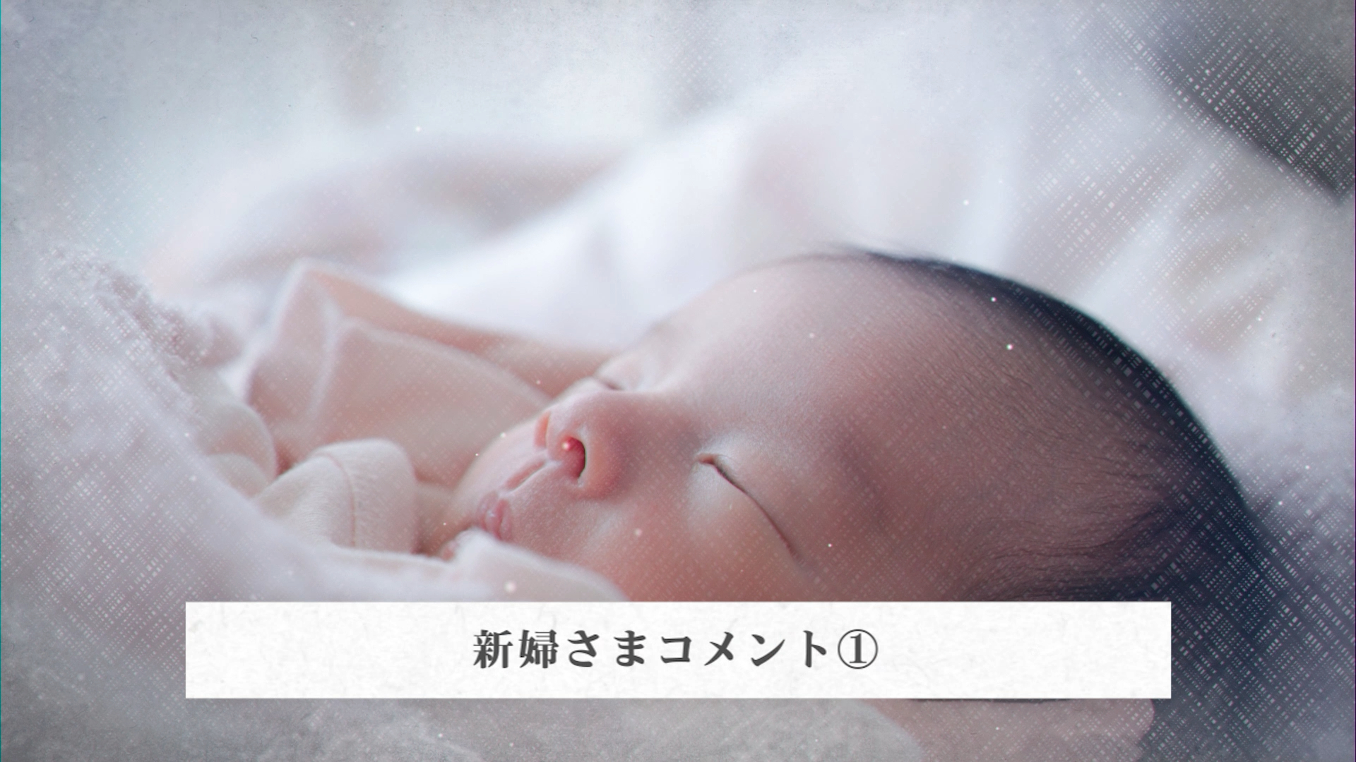 Profile_11.00_02_21_01.静止画008.png