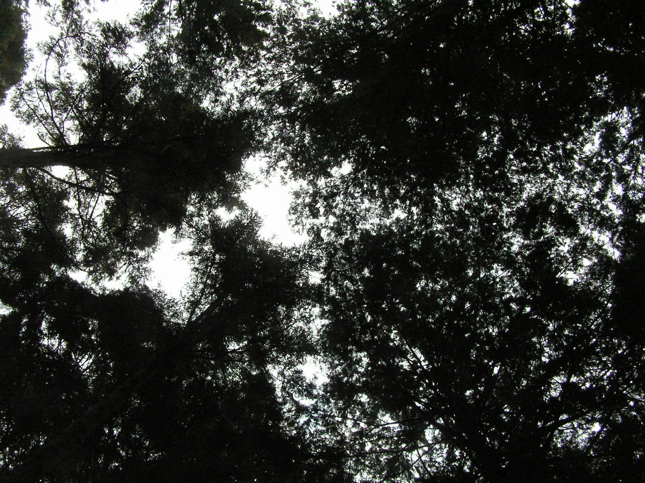 PA260194.JPG