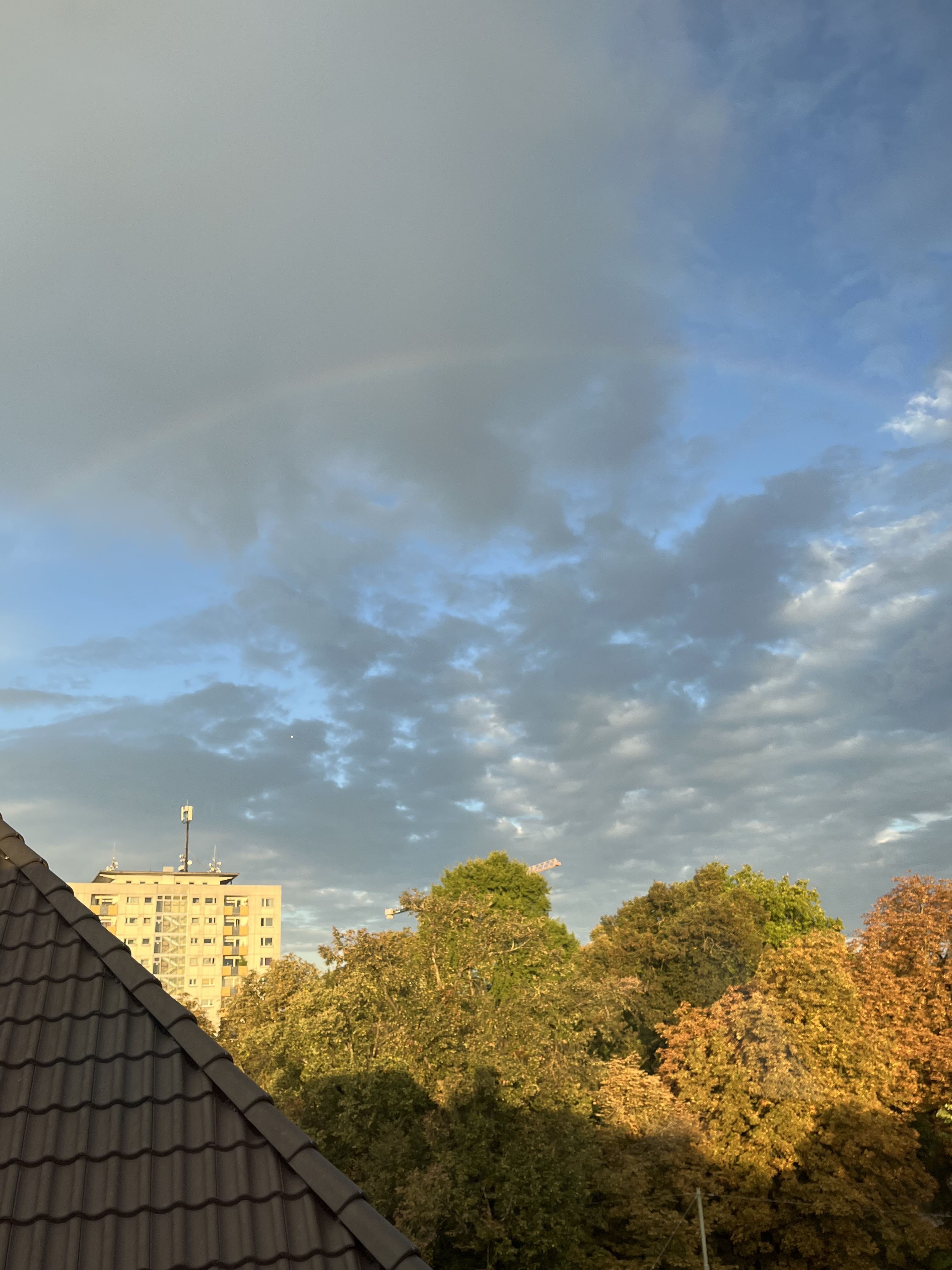 IMG_9569.jpeg