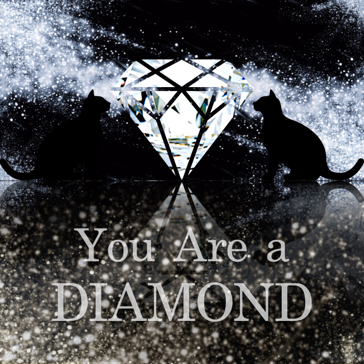 スクリーンショット 2024-09-26 15.07.24.png