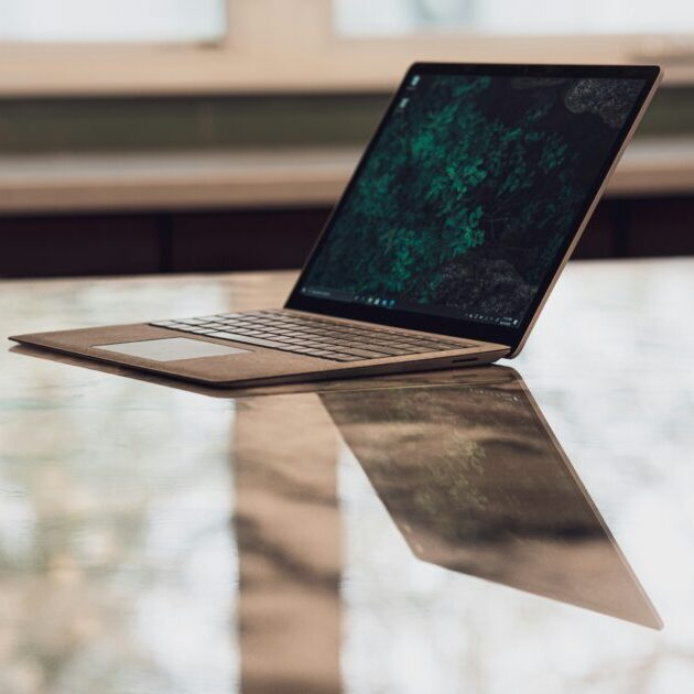 lucas-kepner-hddtUR3hhJE-unsplash-e1705646634836.jpg