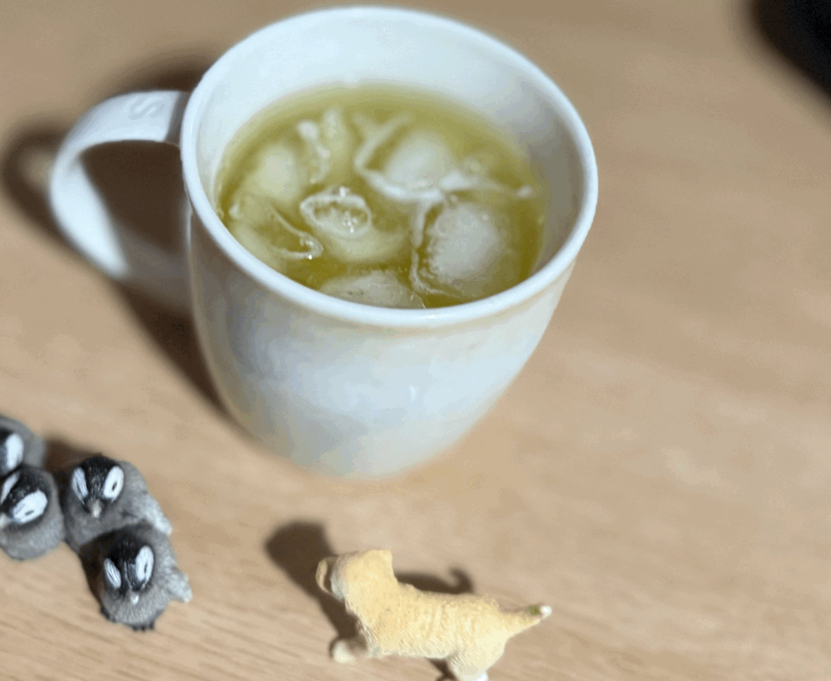tempImagejySp6O.gif