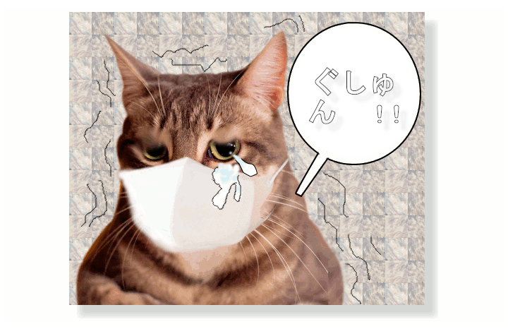 028.png