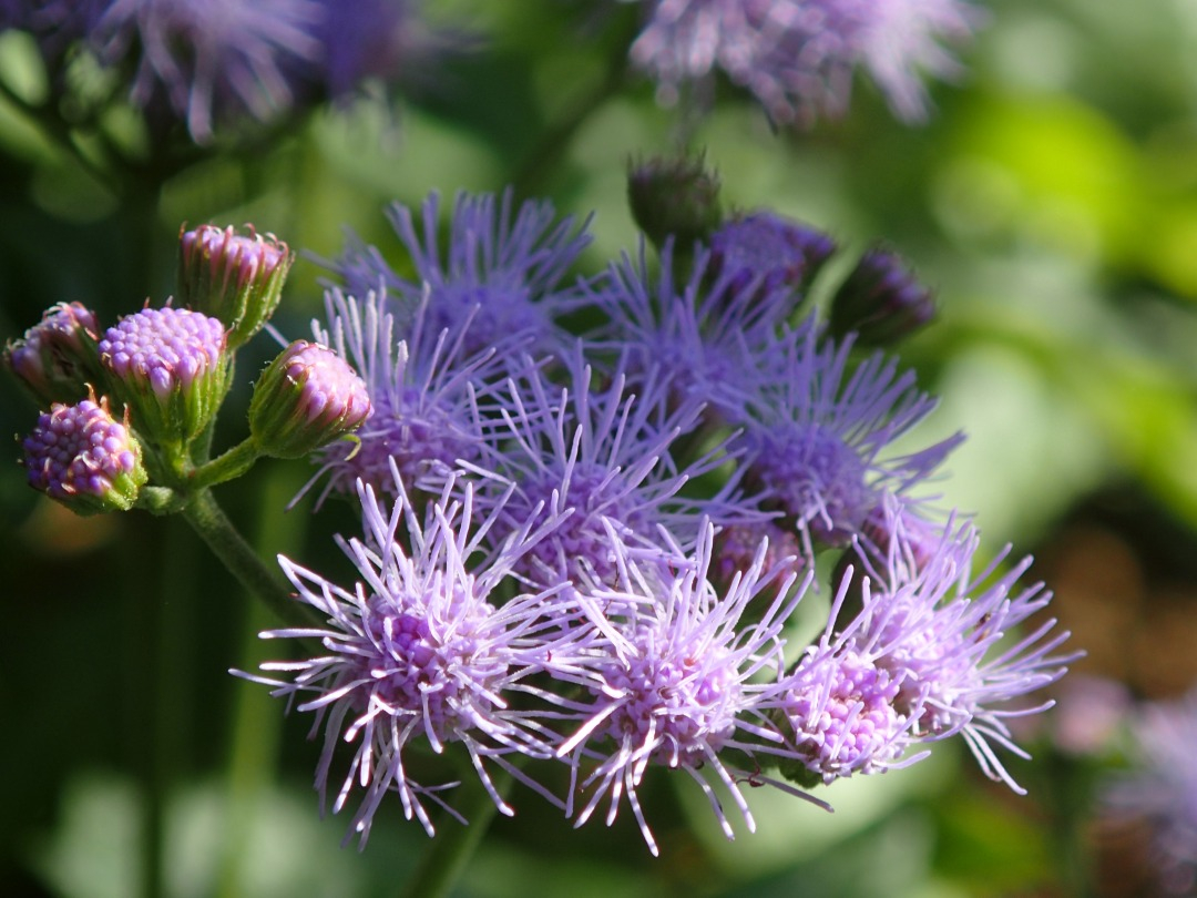 PA100635.JPG