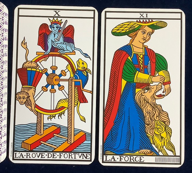 20230629.jpg