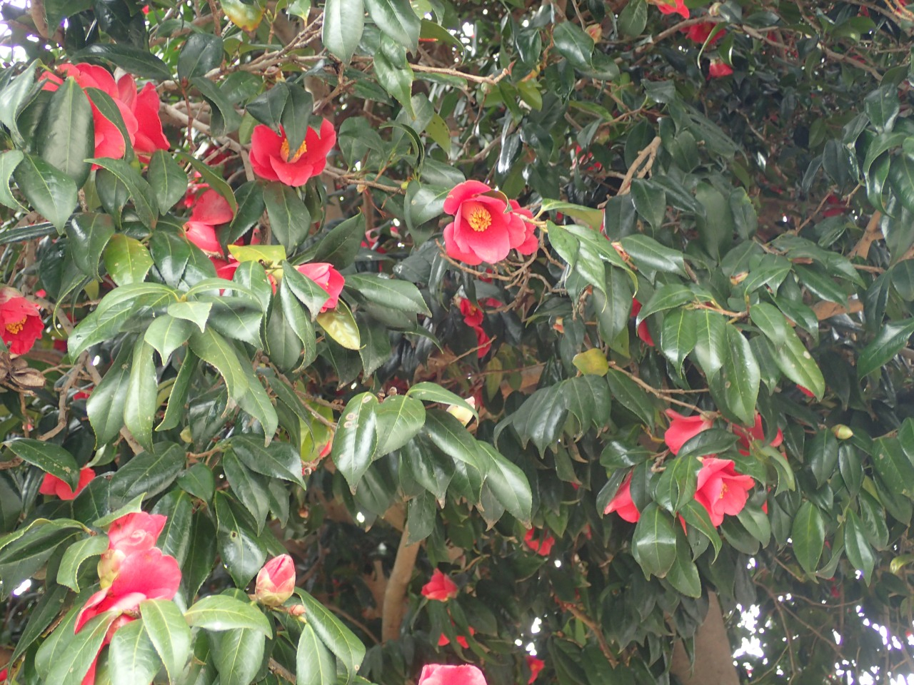 P4051545.JPG