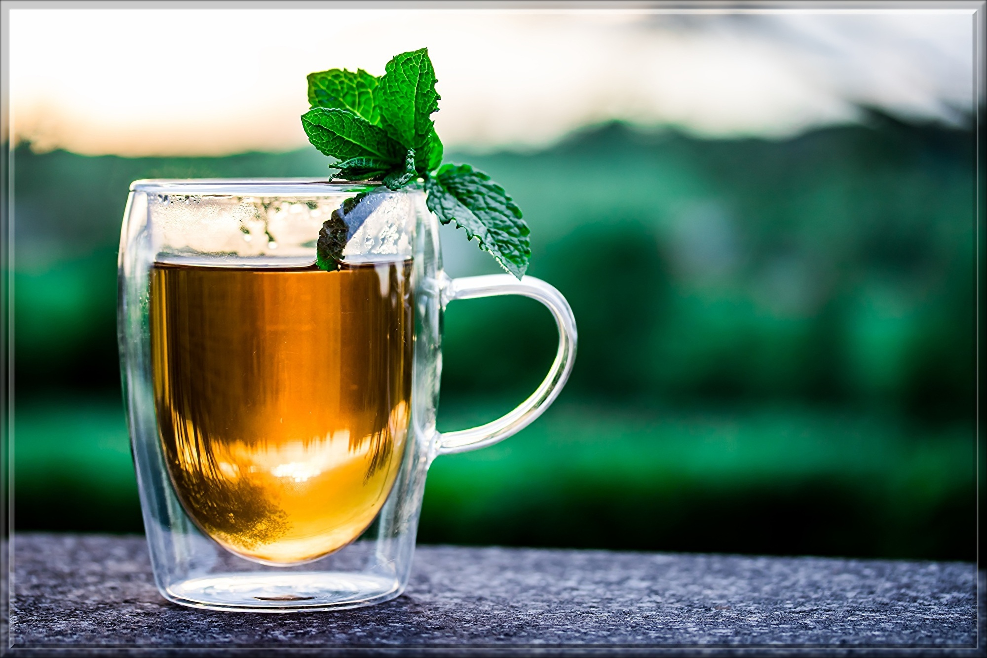 teacup-2325722.jpg