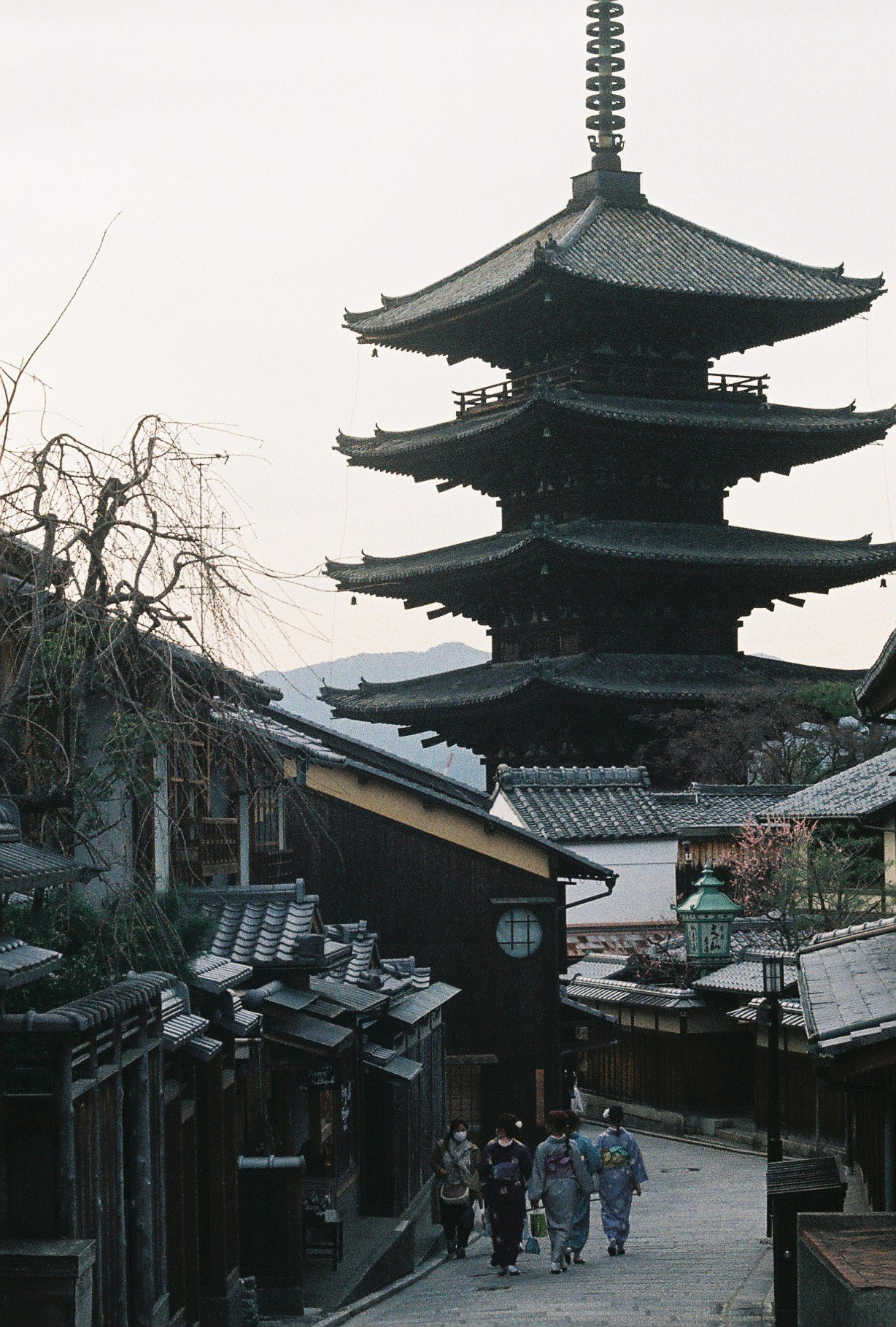 DH000021.JPG