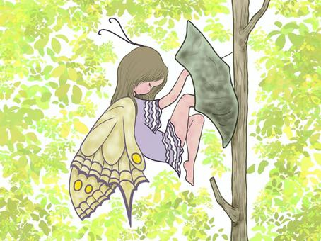 蝶・羽化.jpeg