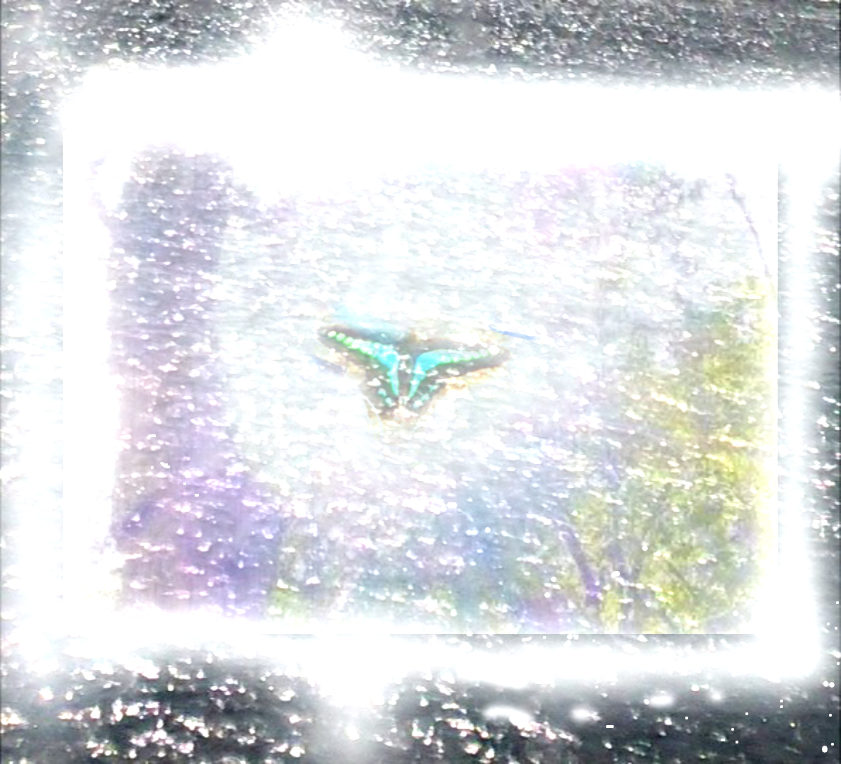 sketch-1700201030516n.png