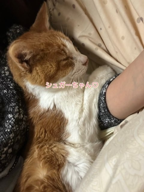 0_IMG_5474.jpeg
