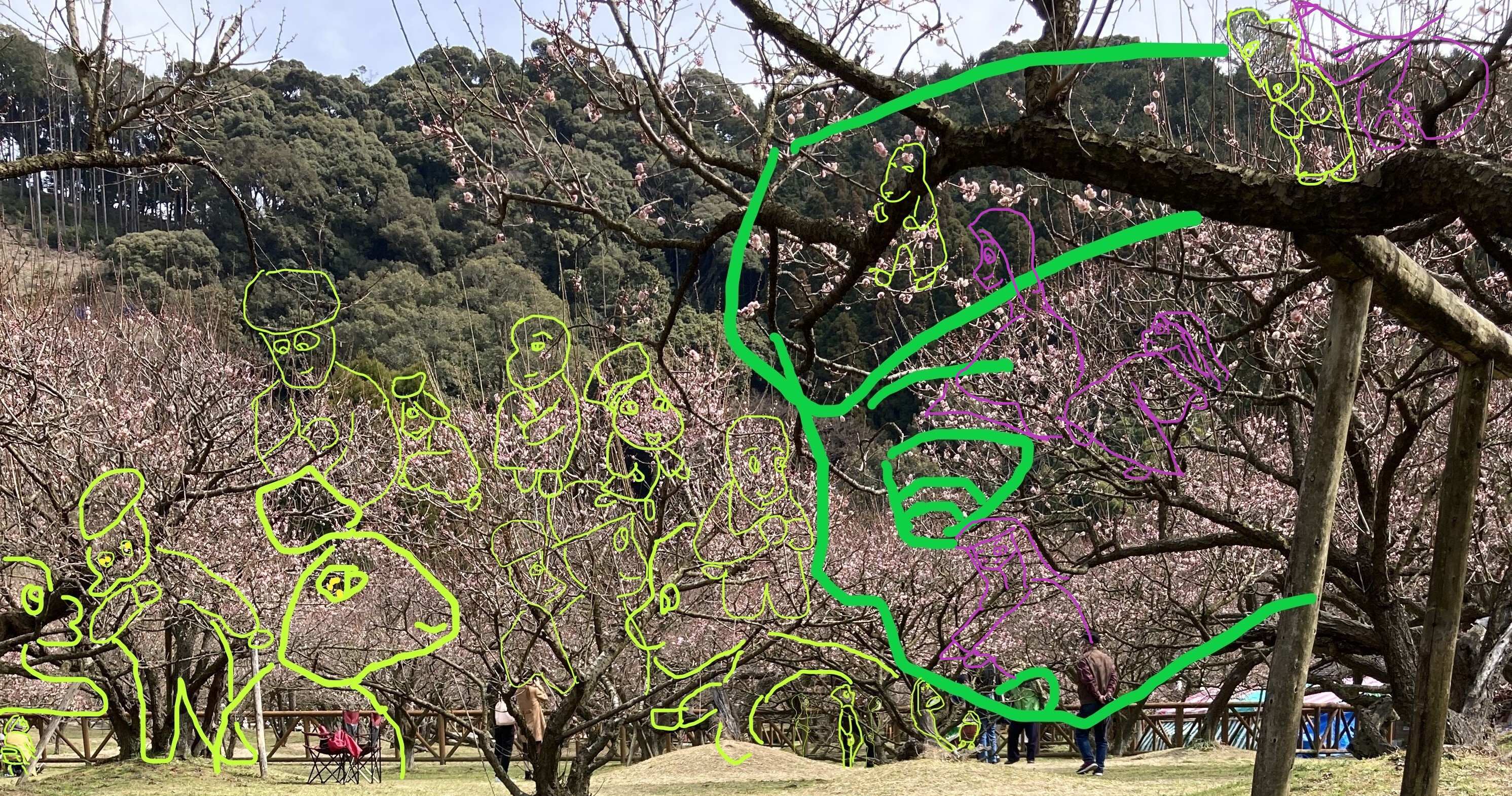 臥龍梅3.4.1.jpg