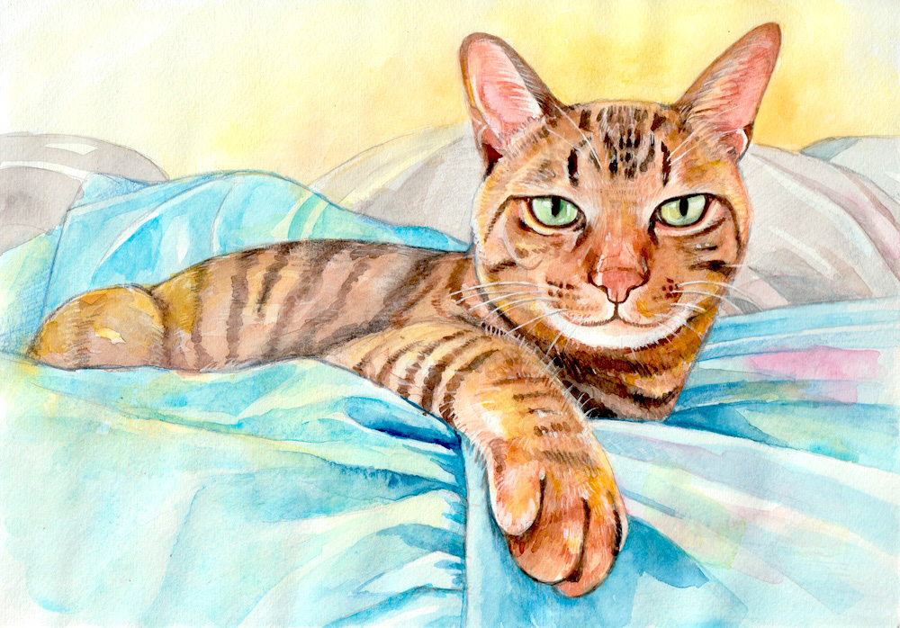 猫の水彩画_BRIDGES様.jpeg