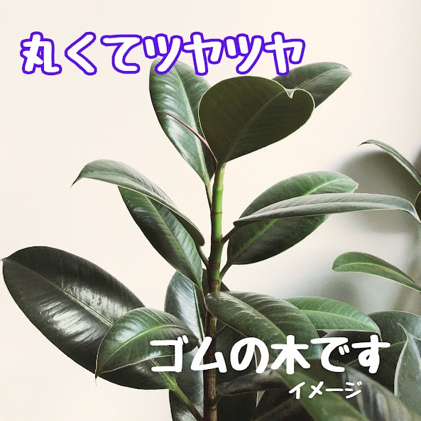 失敗しないための_20240607_213616_0000.jpg