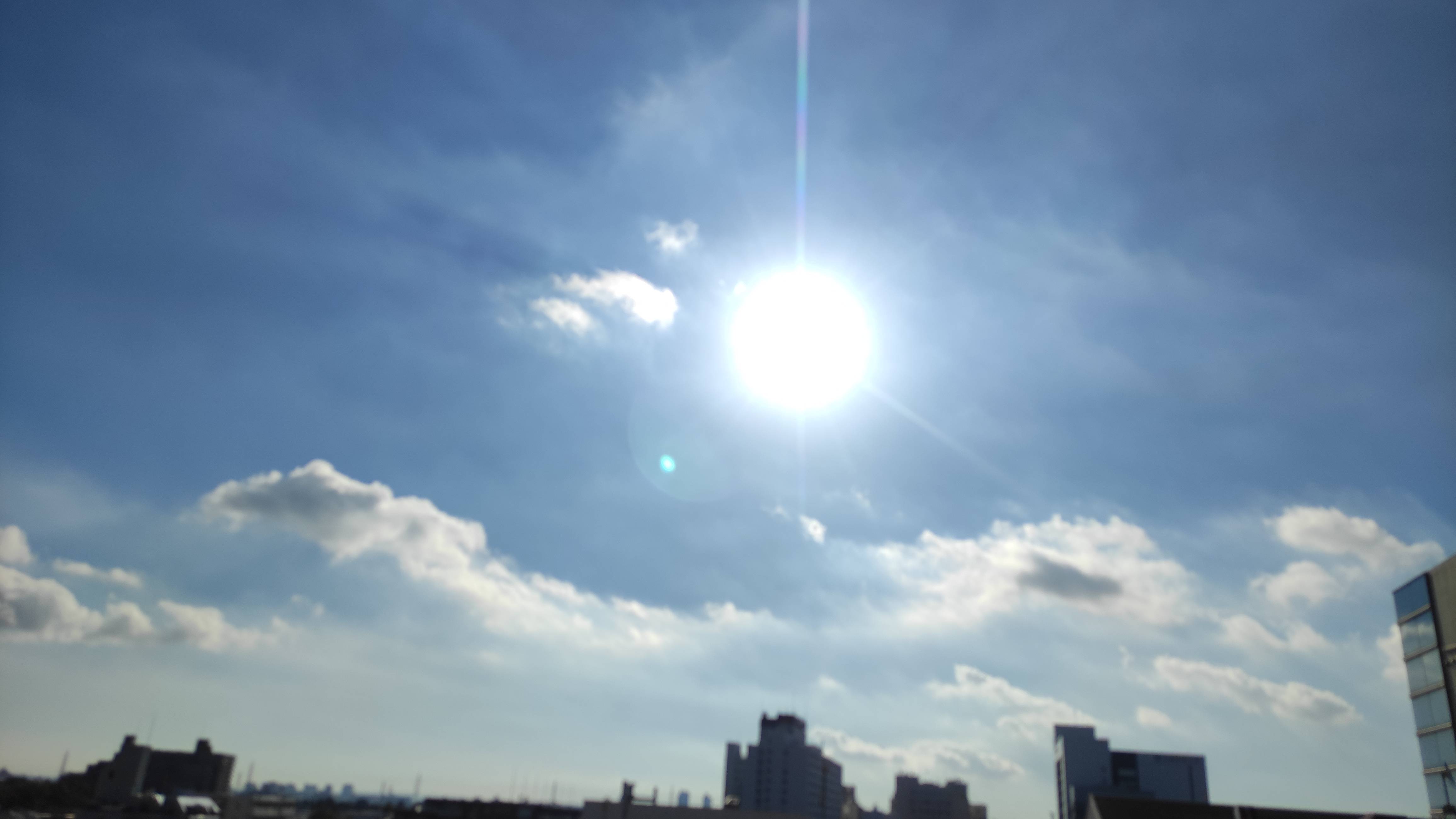IMG_20230829_073551.jpg