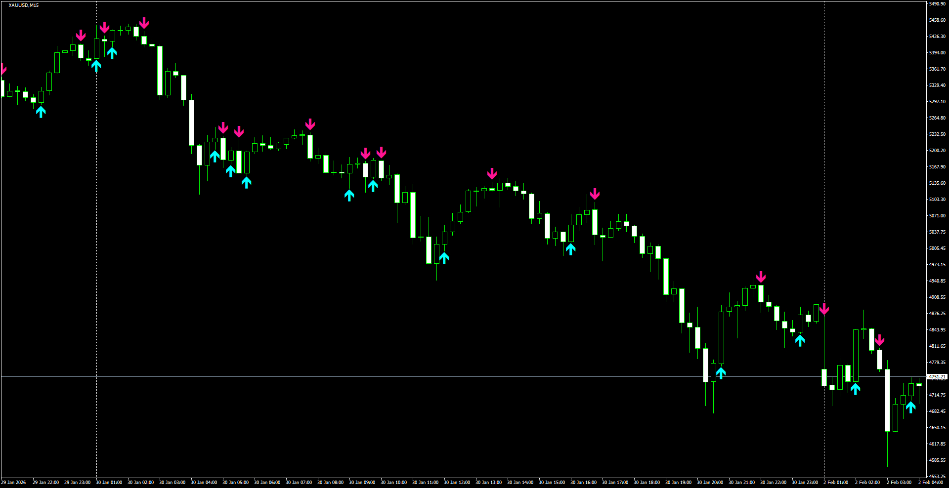 XAUUSD(M15)_2026.02.02_203453.png