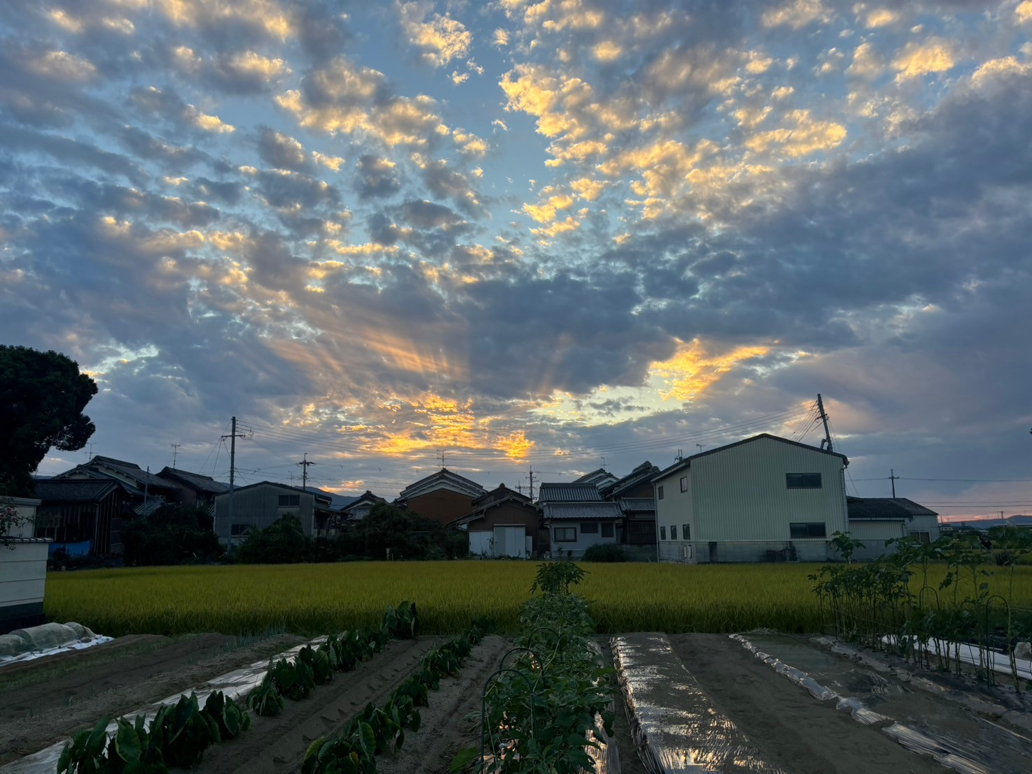 LINE_ALBUM_K写真_240926_1.jpg