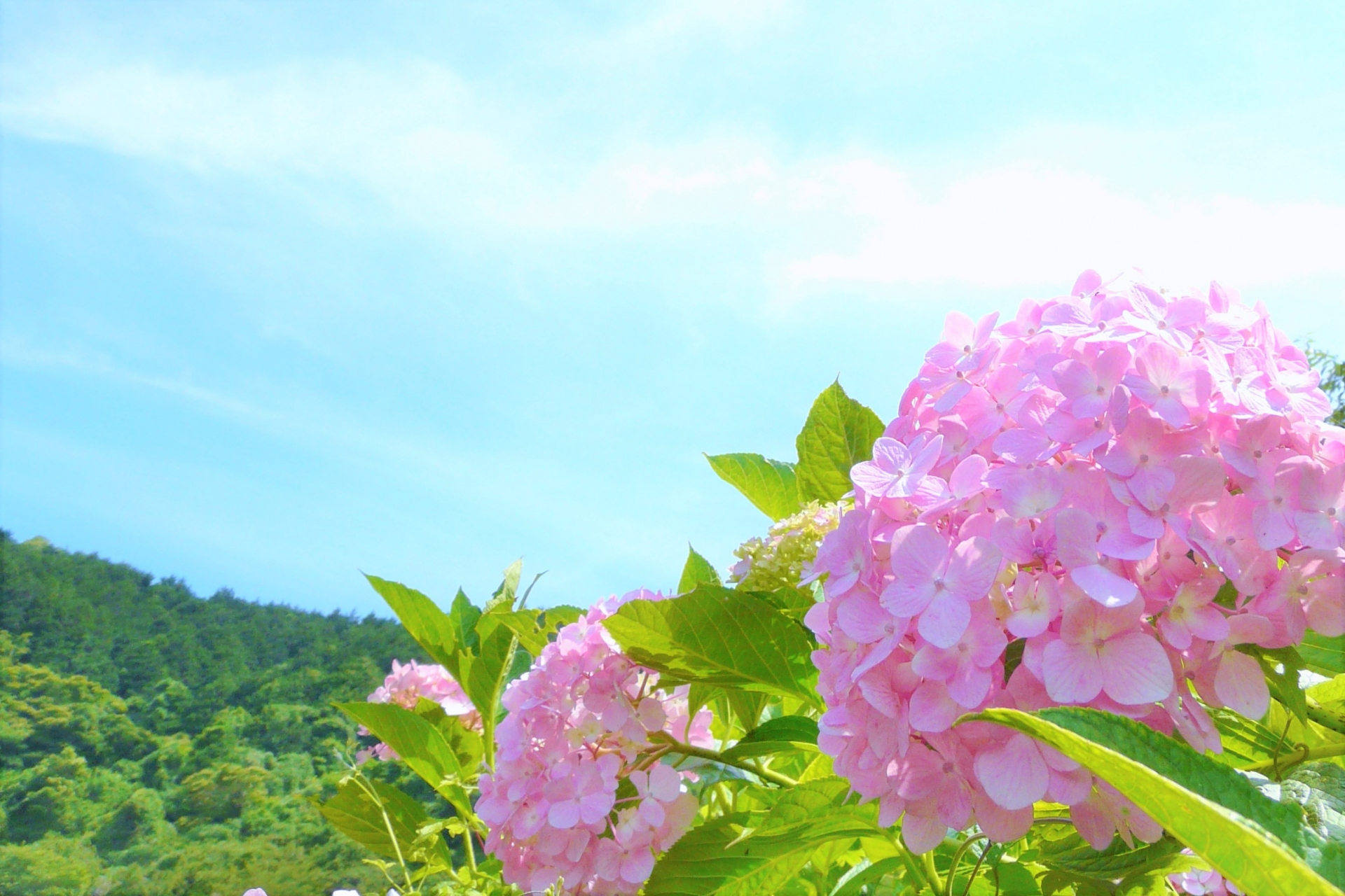 CCB7E238-DD87-43B3-B558-478AE3D81238.jpeg