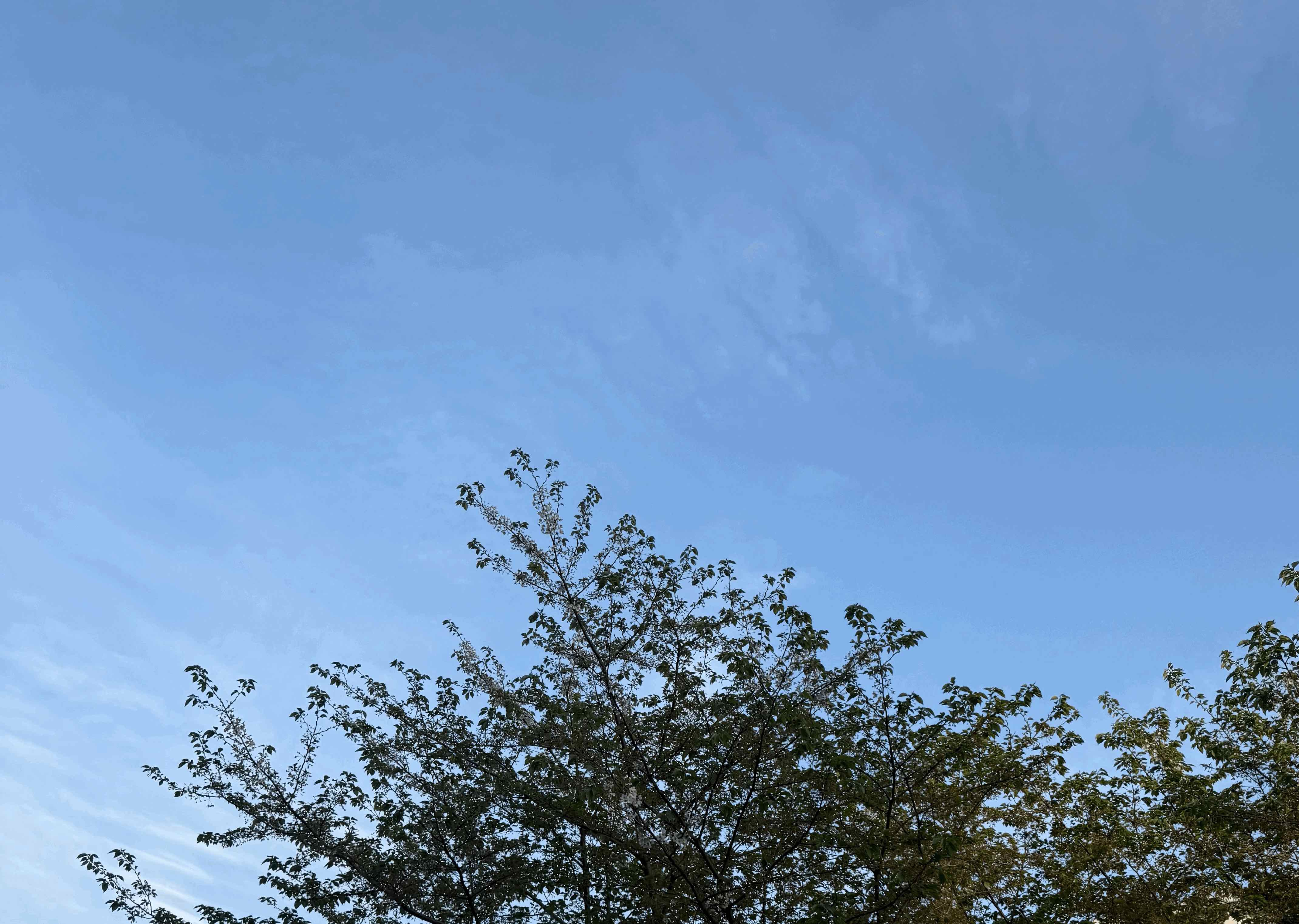 tempImageWInUHd.gif