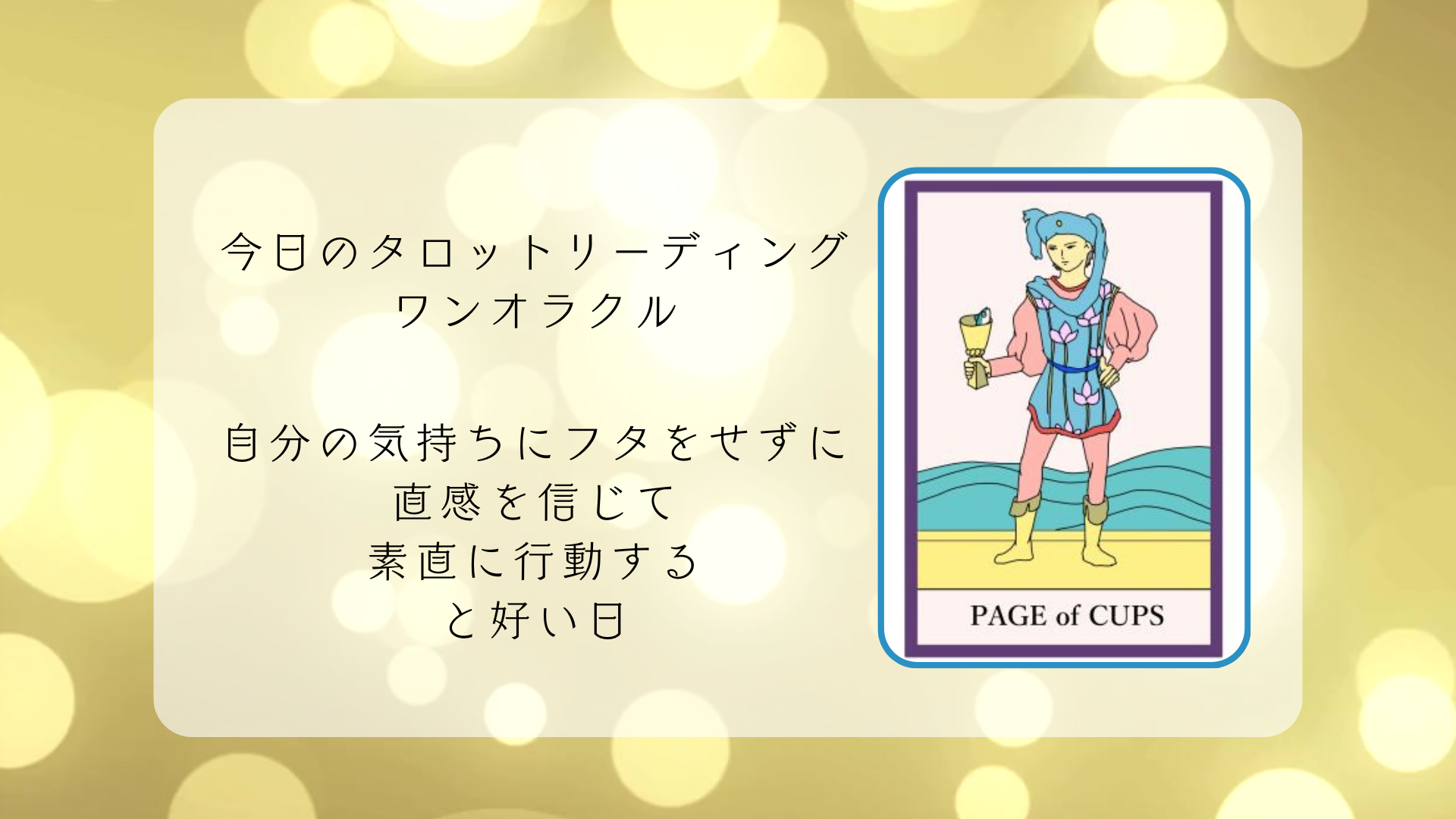 2026.2.17 カップのペイジ .png