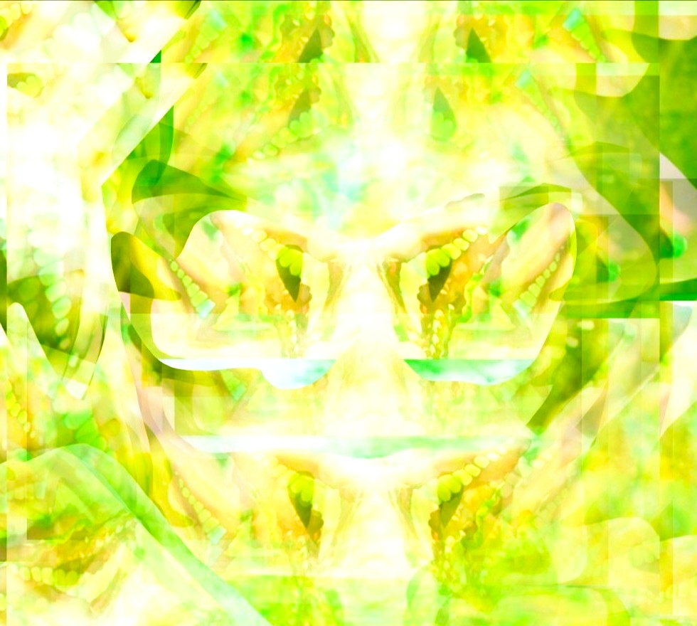 _20230110_080409222.JPG