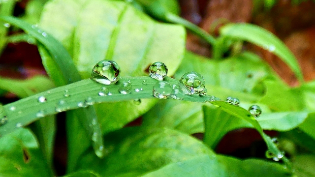25075808_s.jpg